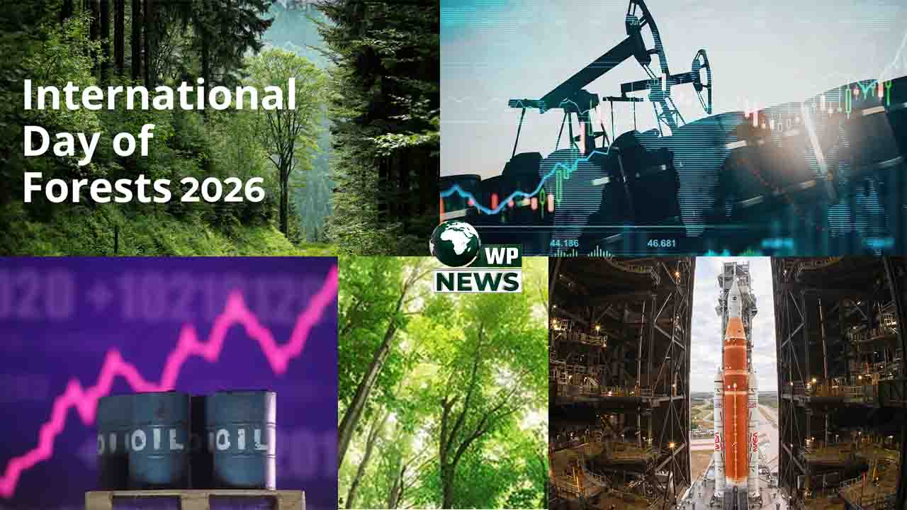 A collage showing forest conservation, NASA Artemis II rocket, and global cultural celebrations.